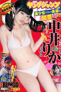 在线免费观看黄页